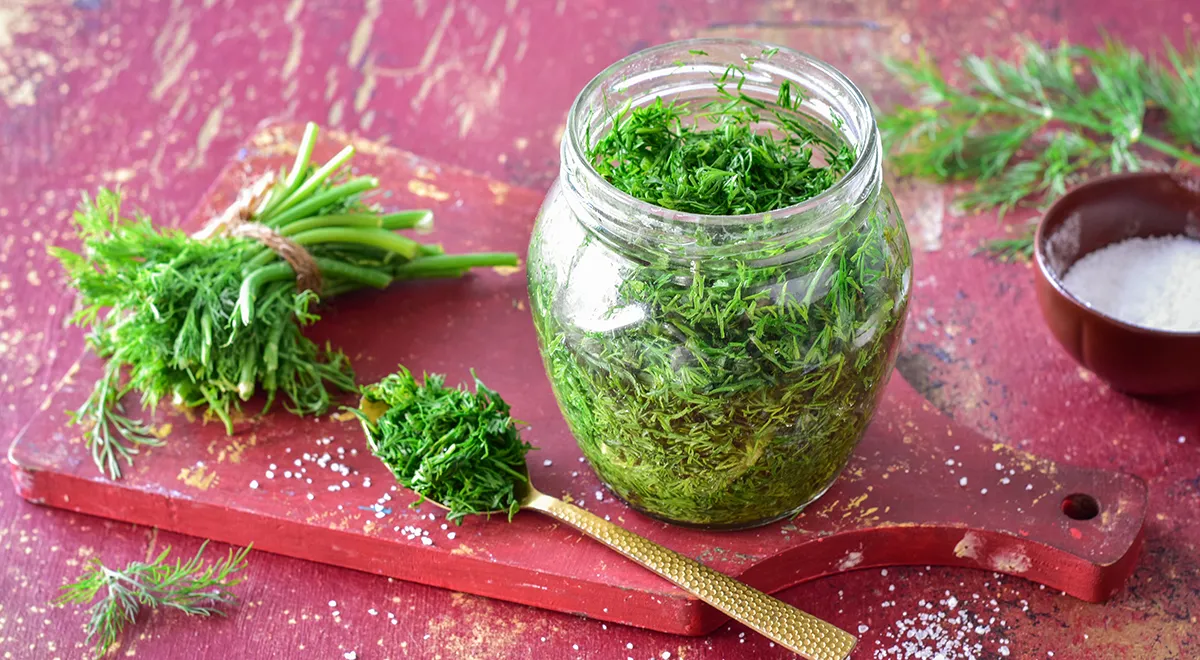 Dill mit Salz für den Winter