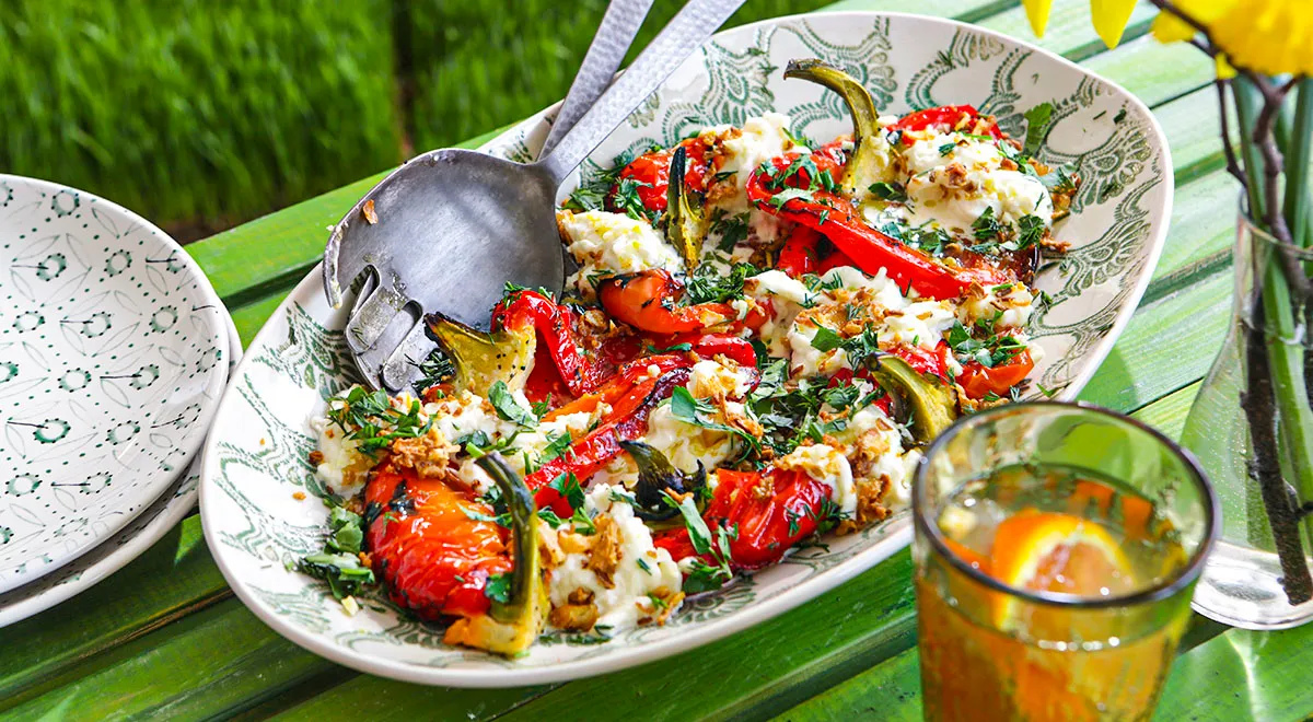 Vorspeise aus gerösteten Paprika mit Stracciatella