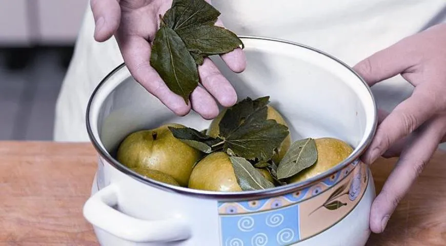 Äpfel auf den Boden der Pfanne legen und Kirsch- oder Johannisbeerblätter hinzufügen