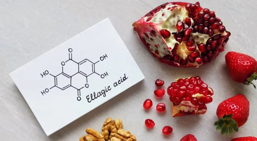 Ellagsäure ist eine der wertvollsten Verbindungen im Granatapfel und Granatapfelsaft. 