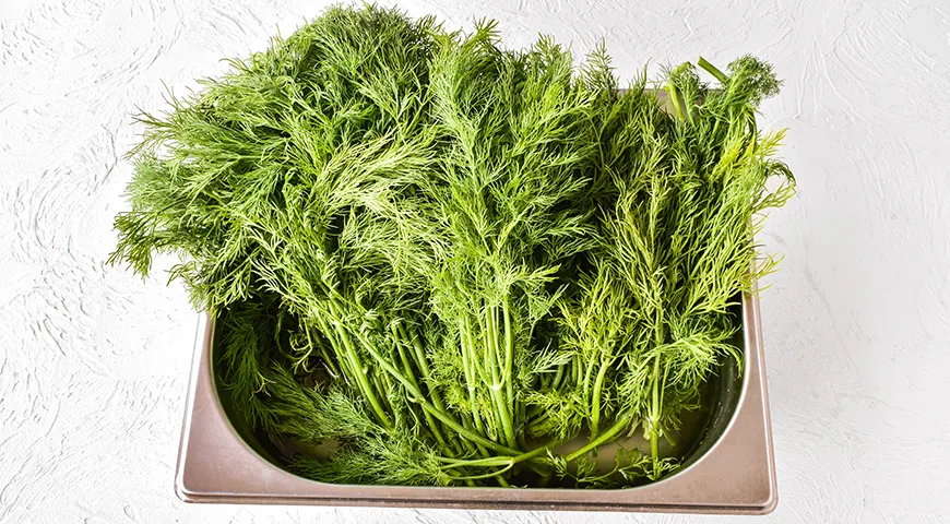 Dill mit Salz für den Winter