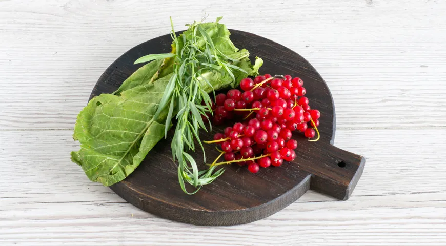 Eingelegte Gurken mit roten Johannisbeeren für den Winter