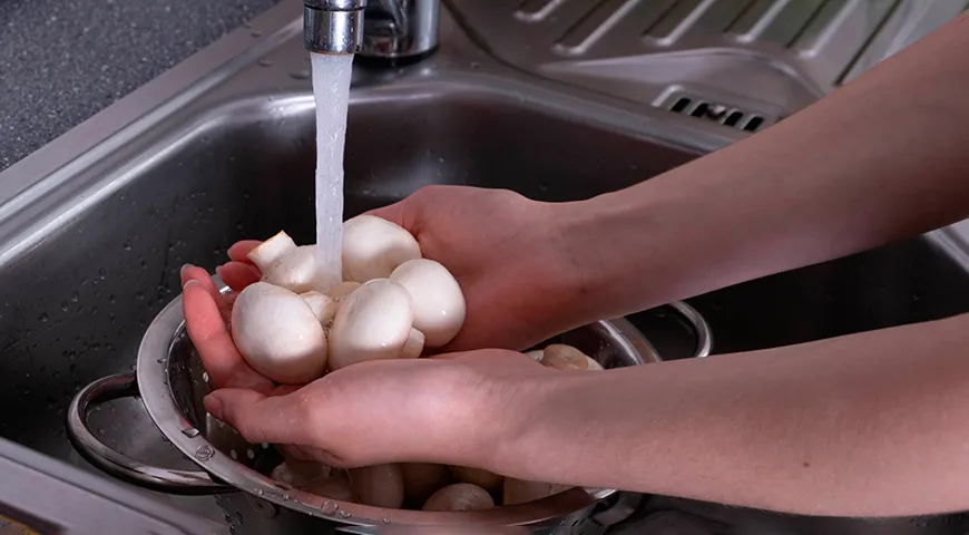 Kulturchampignons müssen nicht gründlich gewaschen werden, da sie nicht auf dem Boden, sondern auf einem speziellen Substrat wachsen