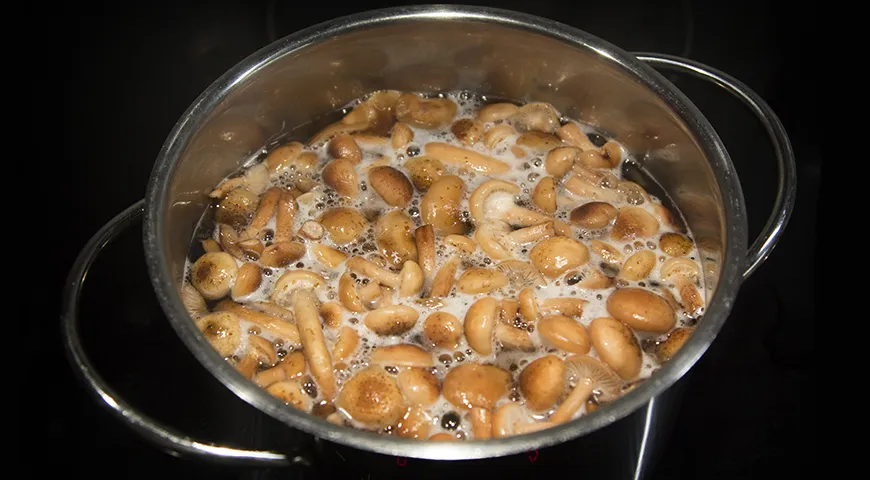 Pilze in einem großen Topf kochen: Im rohen Zustand nehmen sie viel Platz ein und beim Kochen bildet sich viel Schaum