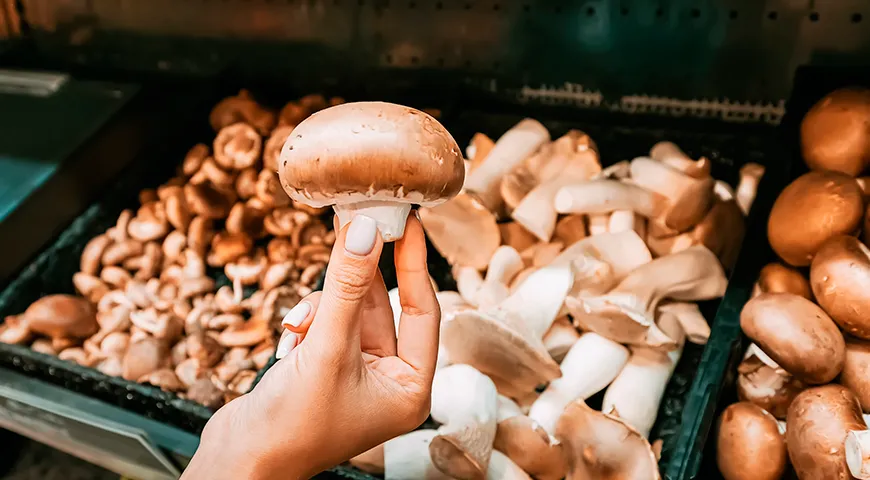 Große Champignons eignen sich am besten zum Grillen oder Grillen.