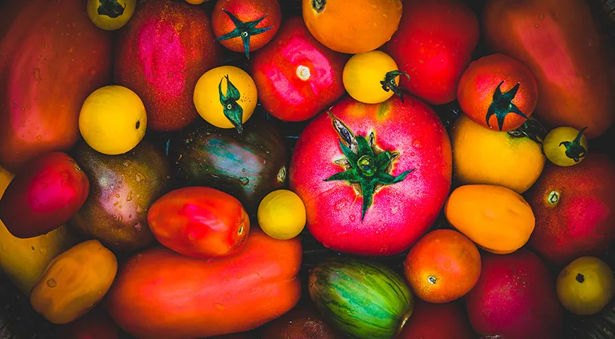 Für die Herstellung von Tomatenmark zu Hause eignet sich jede Tomatensorte, bei fleischigen Tomaten dauert es jedoch weniger lange, bis die Flüssigkeit verdunstet ist