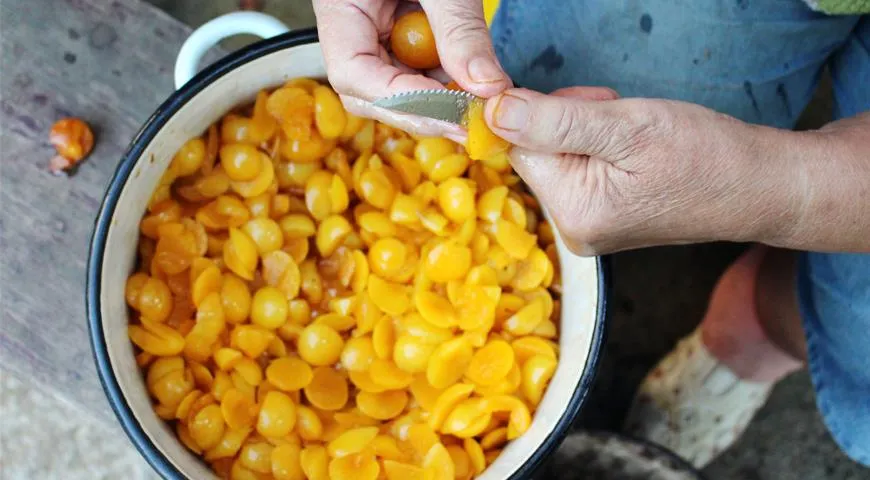 Es ist ratsam, Pflaumenmarmelade am Tag des Obstkaufs zu kochen und dabei die unverdorbenen Früchte sorgfältig auszuwählen