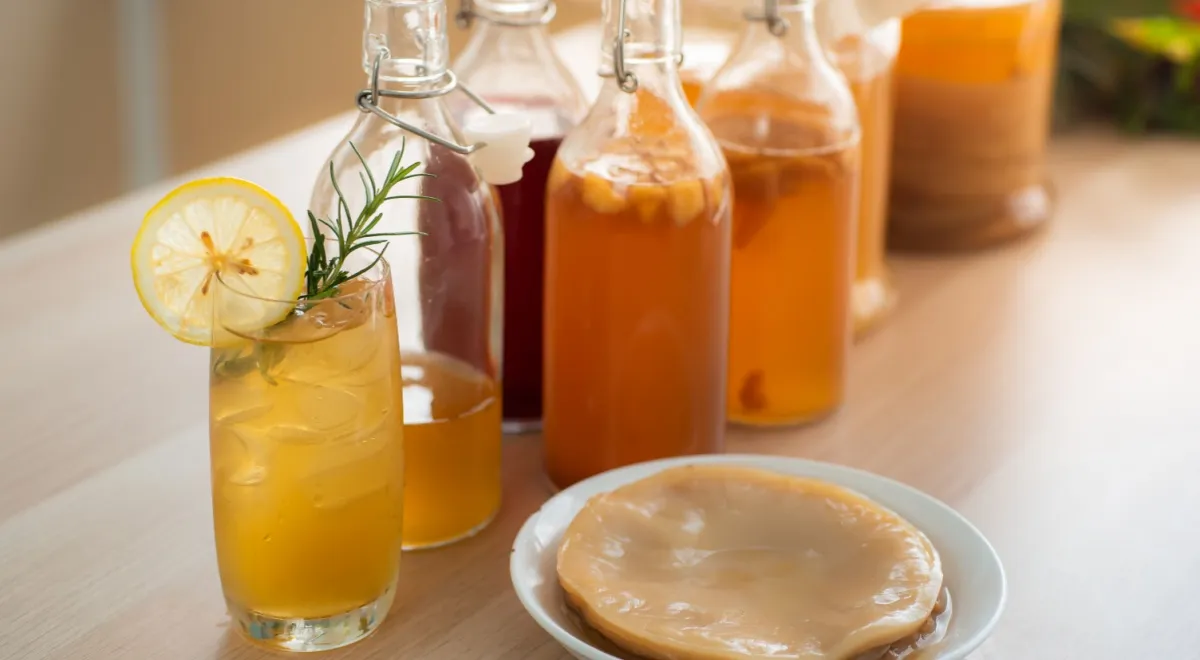 Kombucha, Kombucha