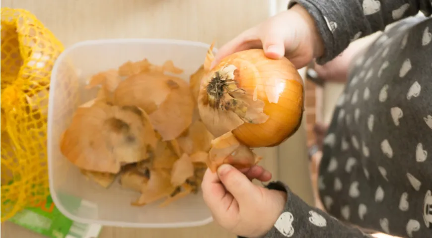 Zwiebelschalen zum Färben von Eiern sammeln