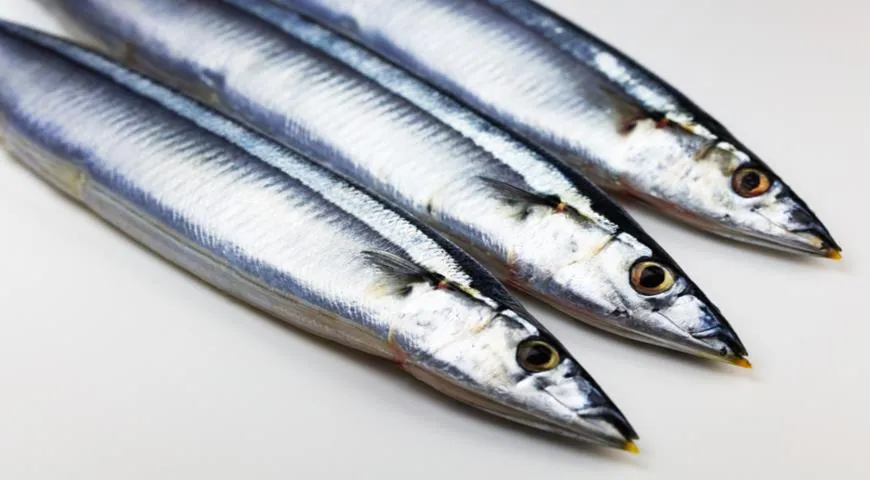 Da Saury viel Fett enthält, ist es leicht verderblich und schwer zuzubereiten.